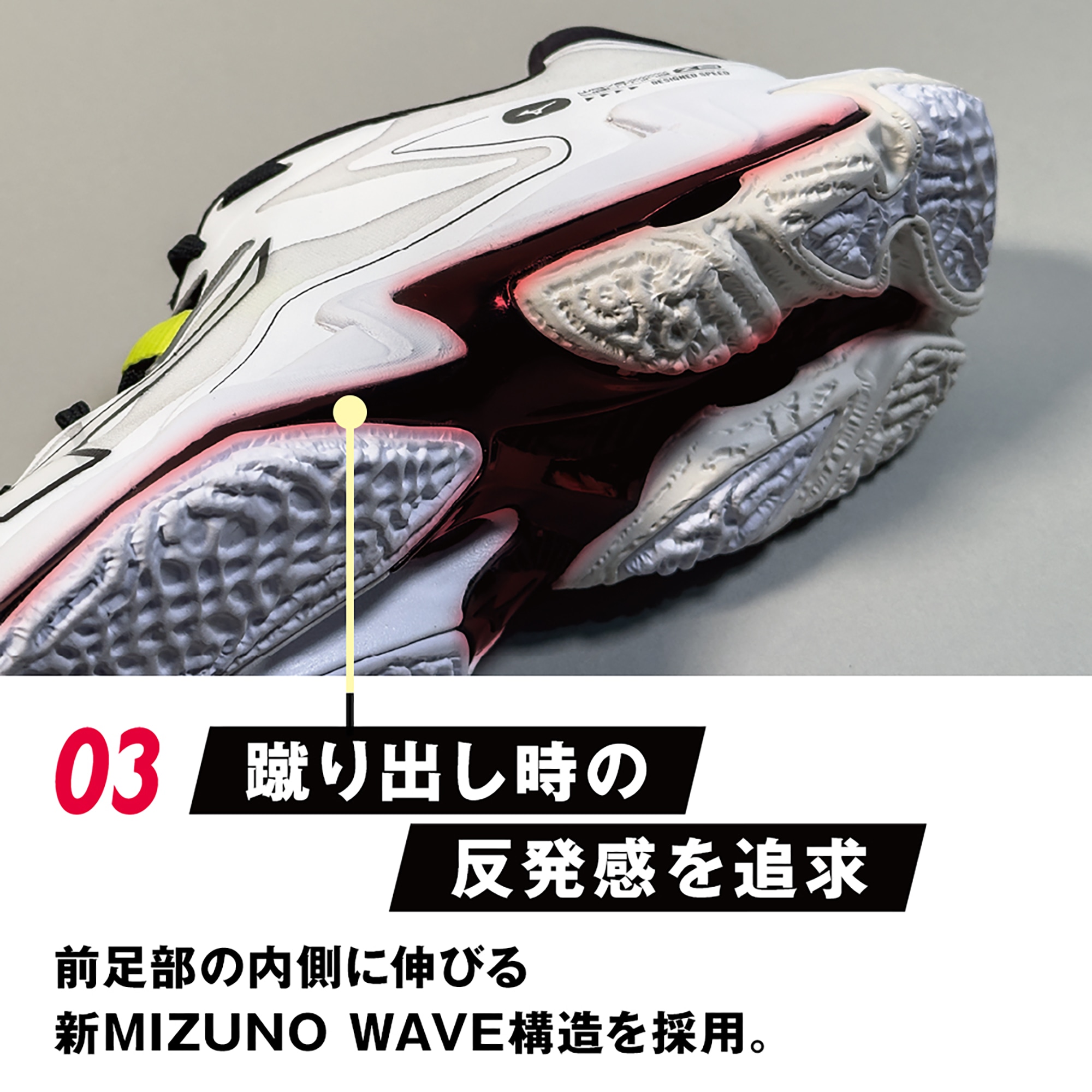 TSA0124F1791アイテム画像