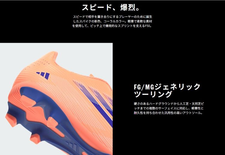 TSA0125F0167アイテム画像