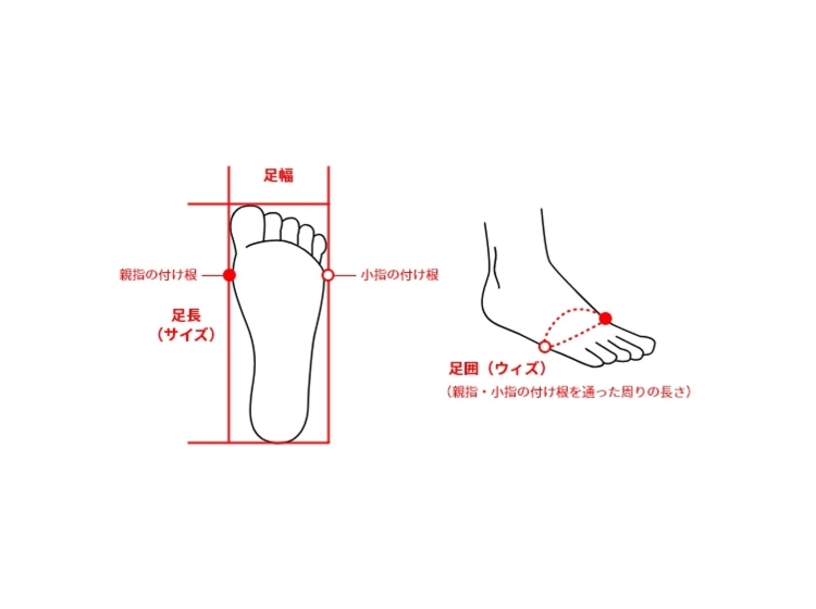TSA0122F3676アイテム画像