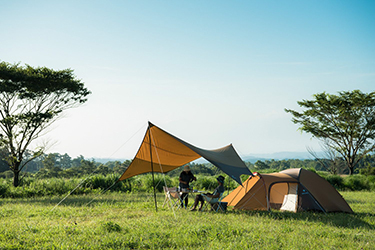 TARP タープ