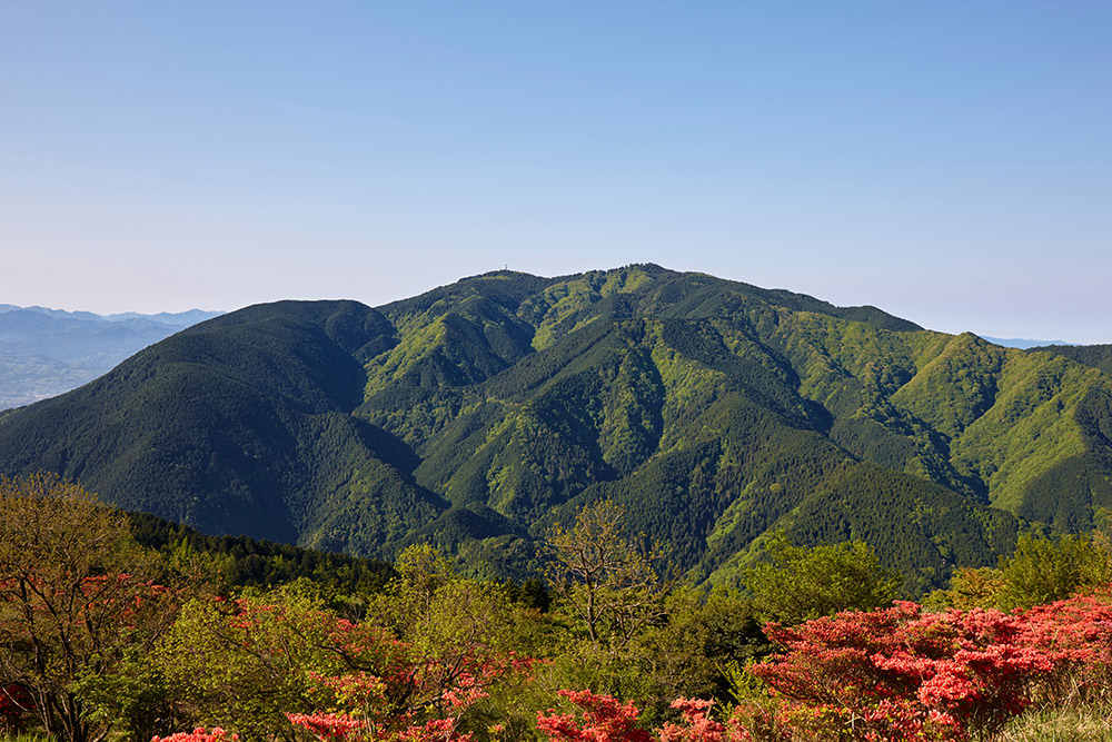 【大阪府・奈良県】金剛山