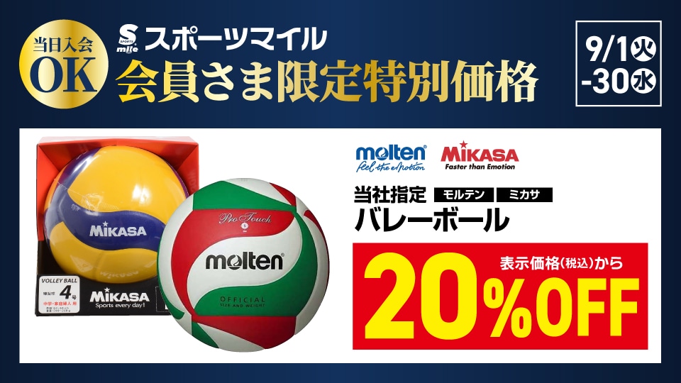 バレーボール