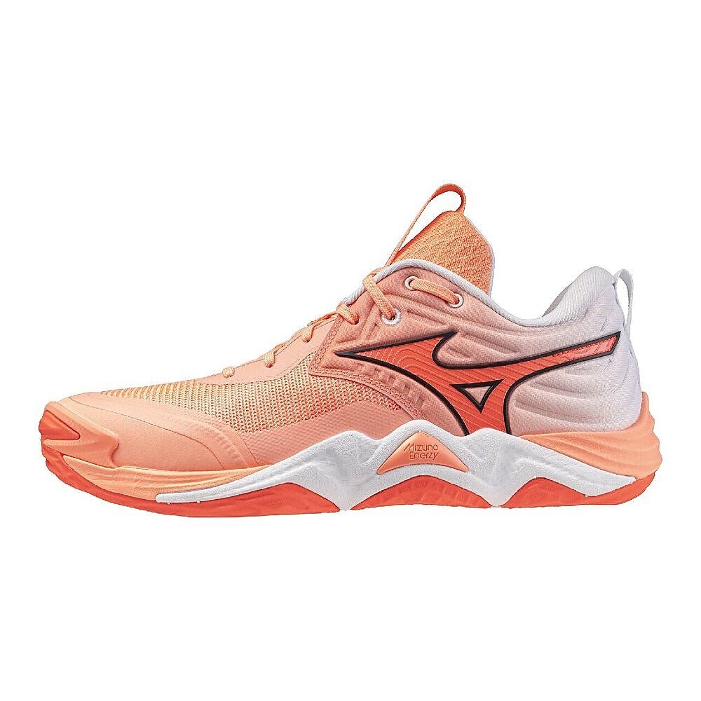 MIZUNO(ミズノ) WAVEMOMENTUM エリート