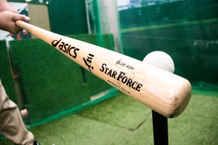 MEGA SPORTS(メガスポーツ)