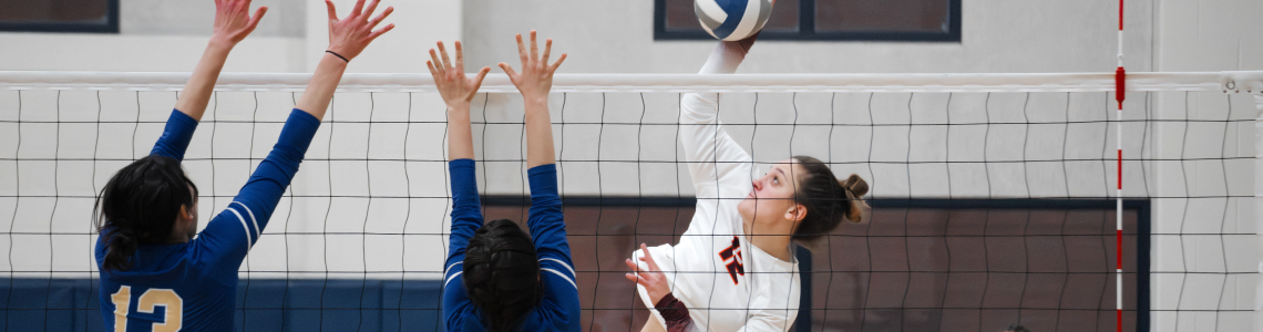 バレーボール・ソフトバレー