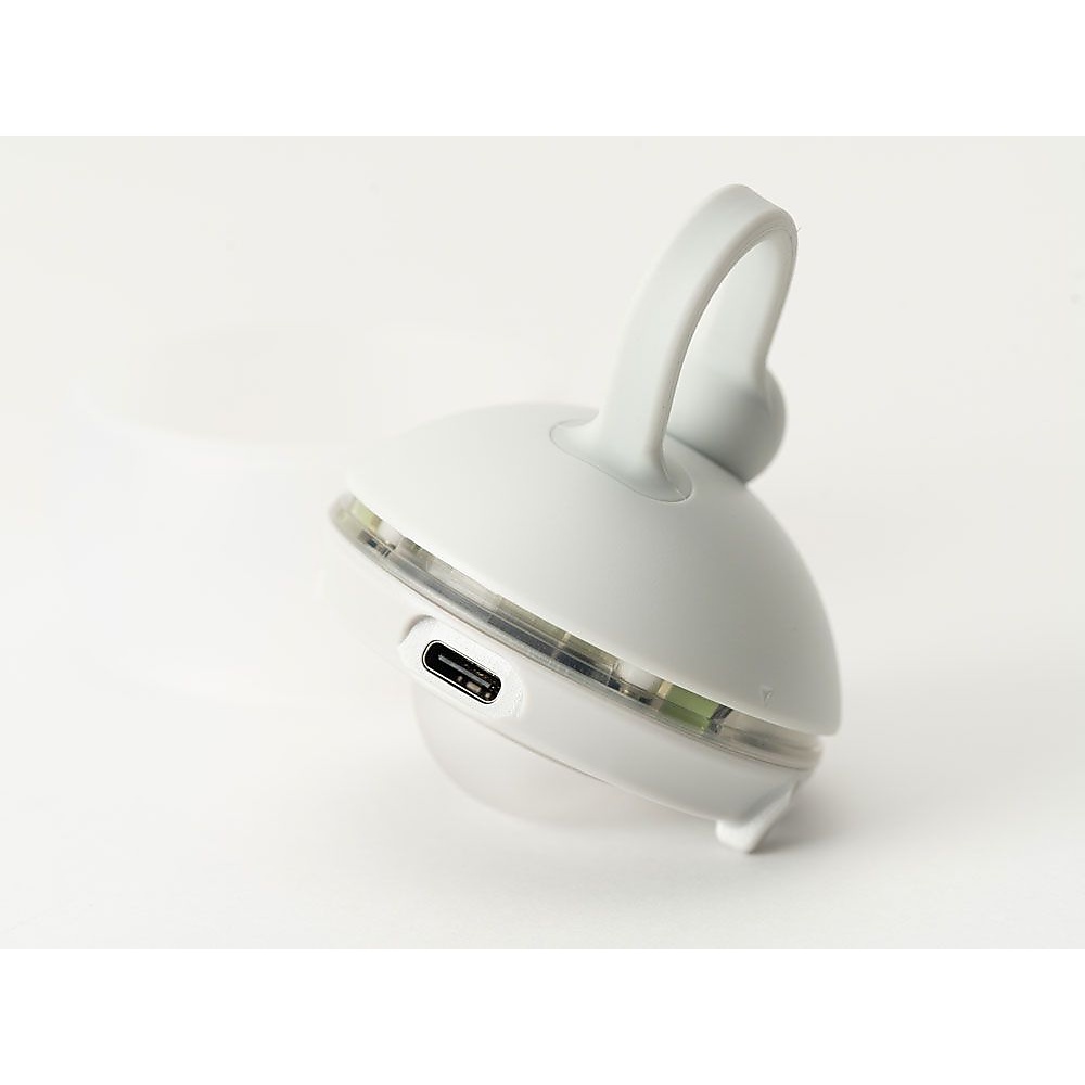 RBたねほおずき あさもや