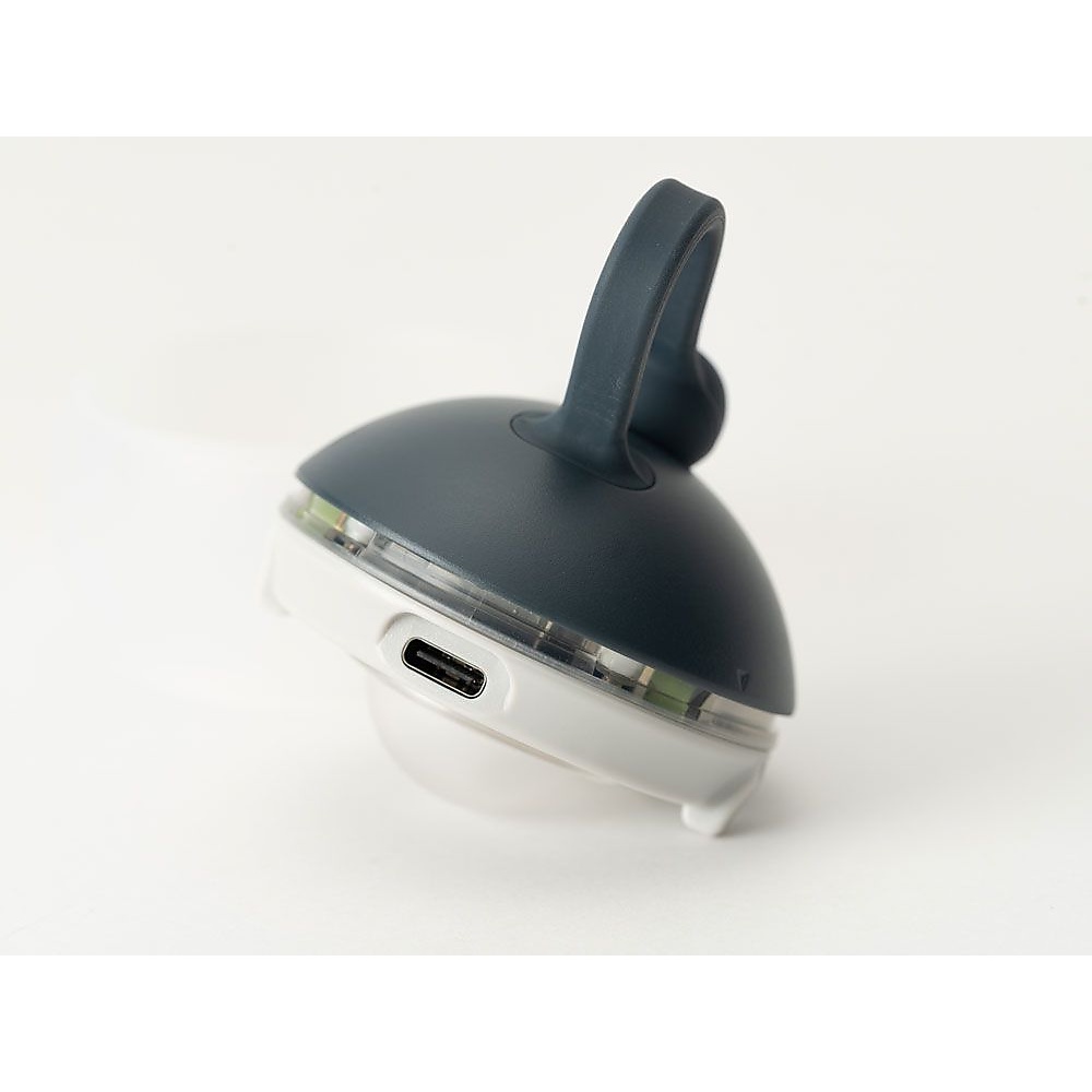 RBたねほおずき よぞら