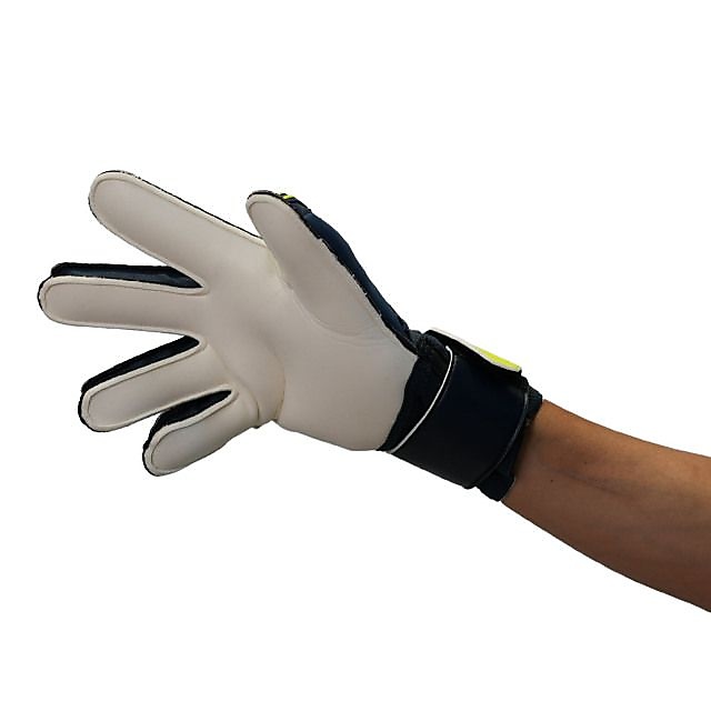 プレディクション ソフト プロ