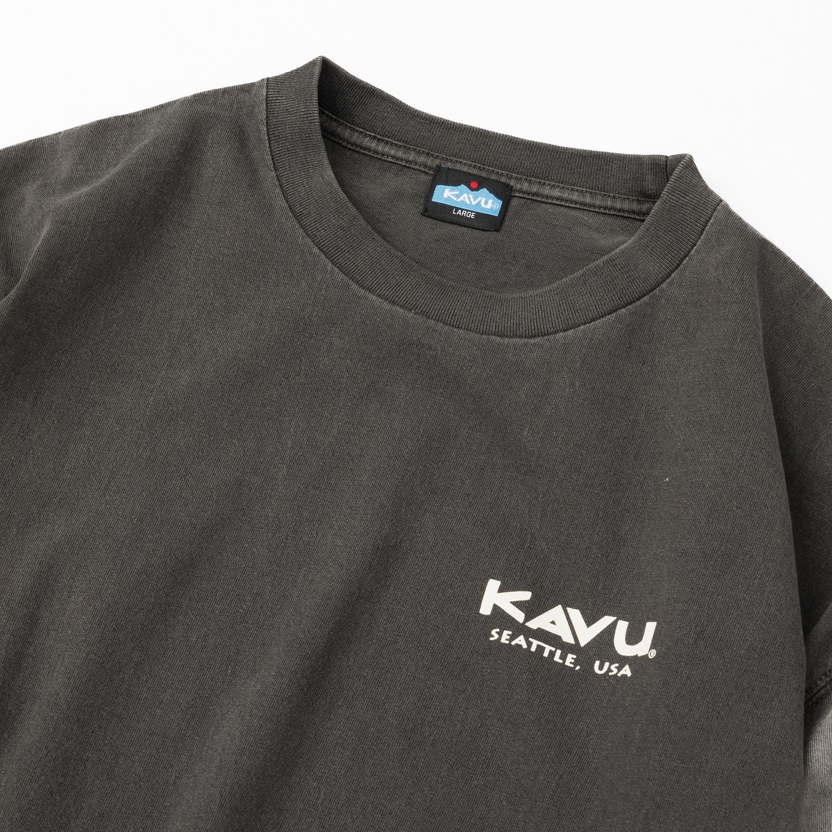 Surf Logo LS Tee