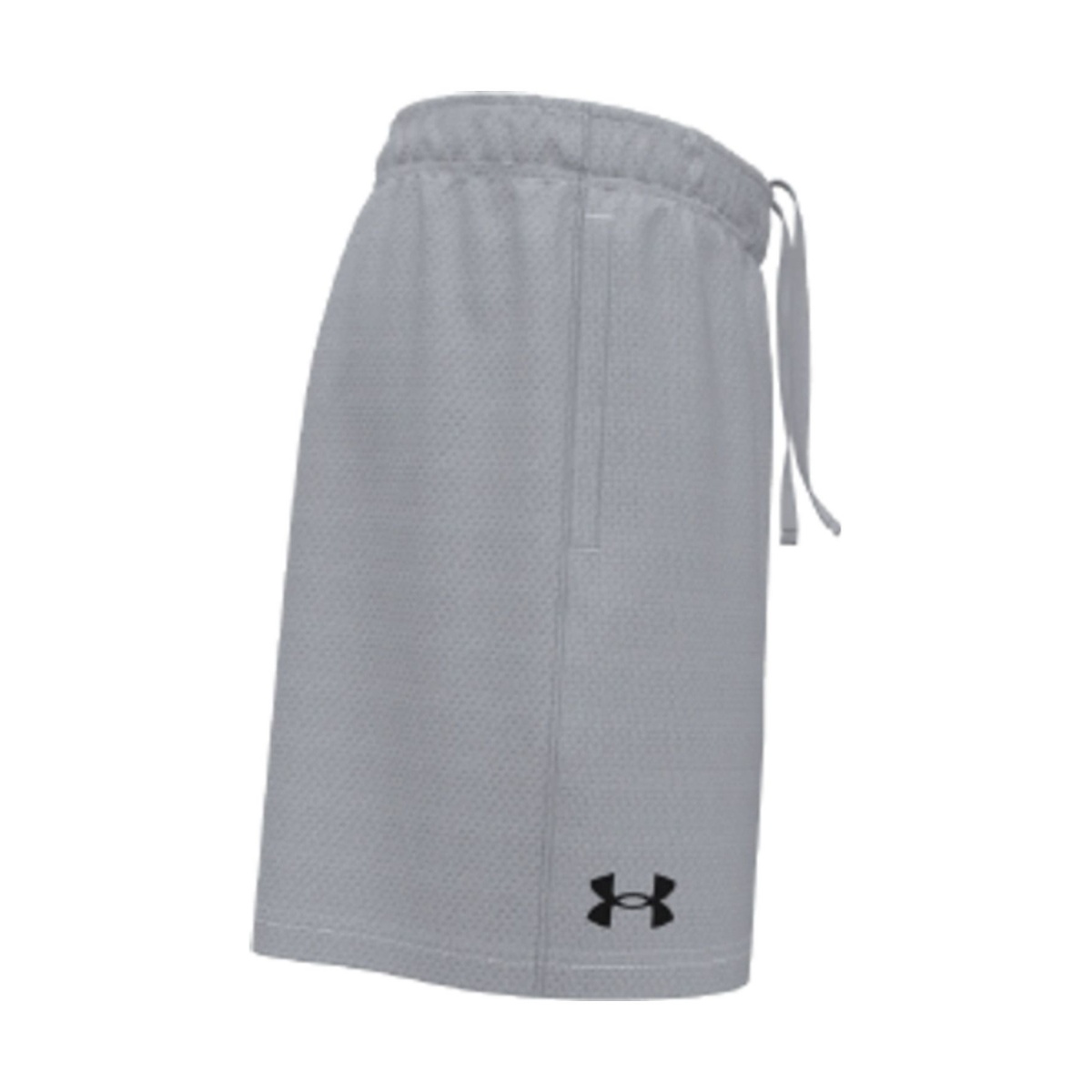 UA Tech Mesh Shorts