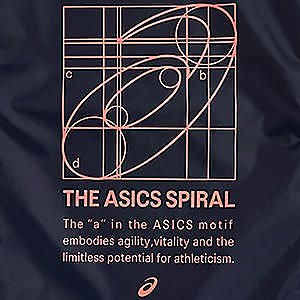 シーズングラフィックライトサックL