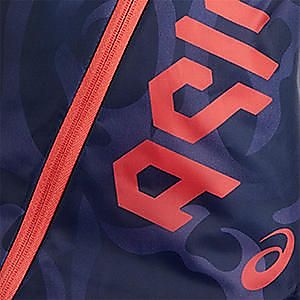 アシックスヘックスグラフィックシューズケースL