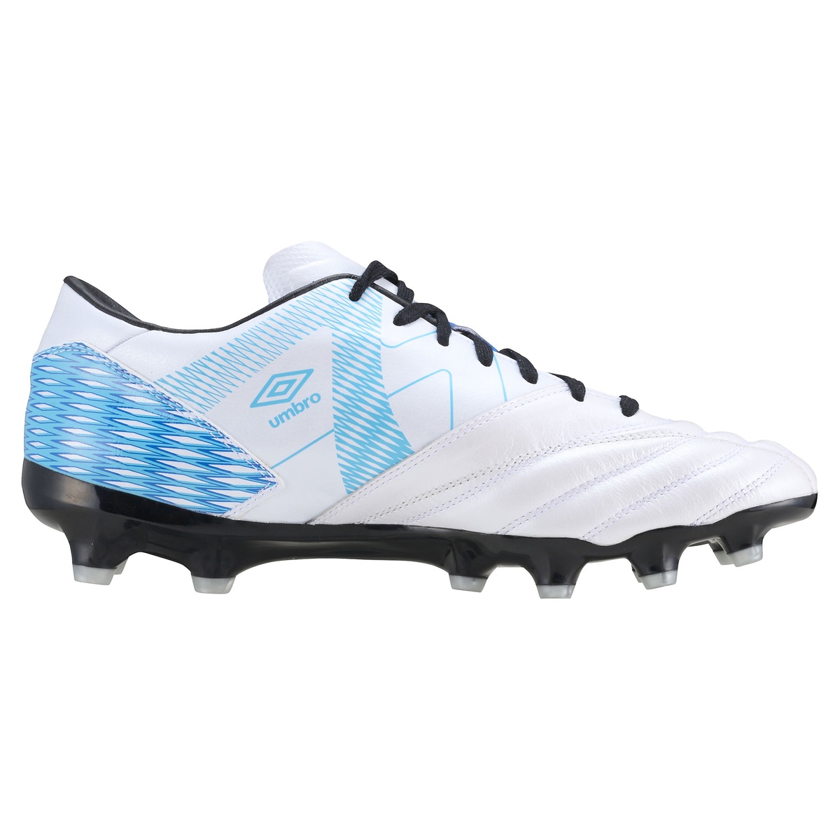 アクセレイター  f v3 HG