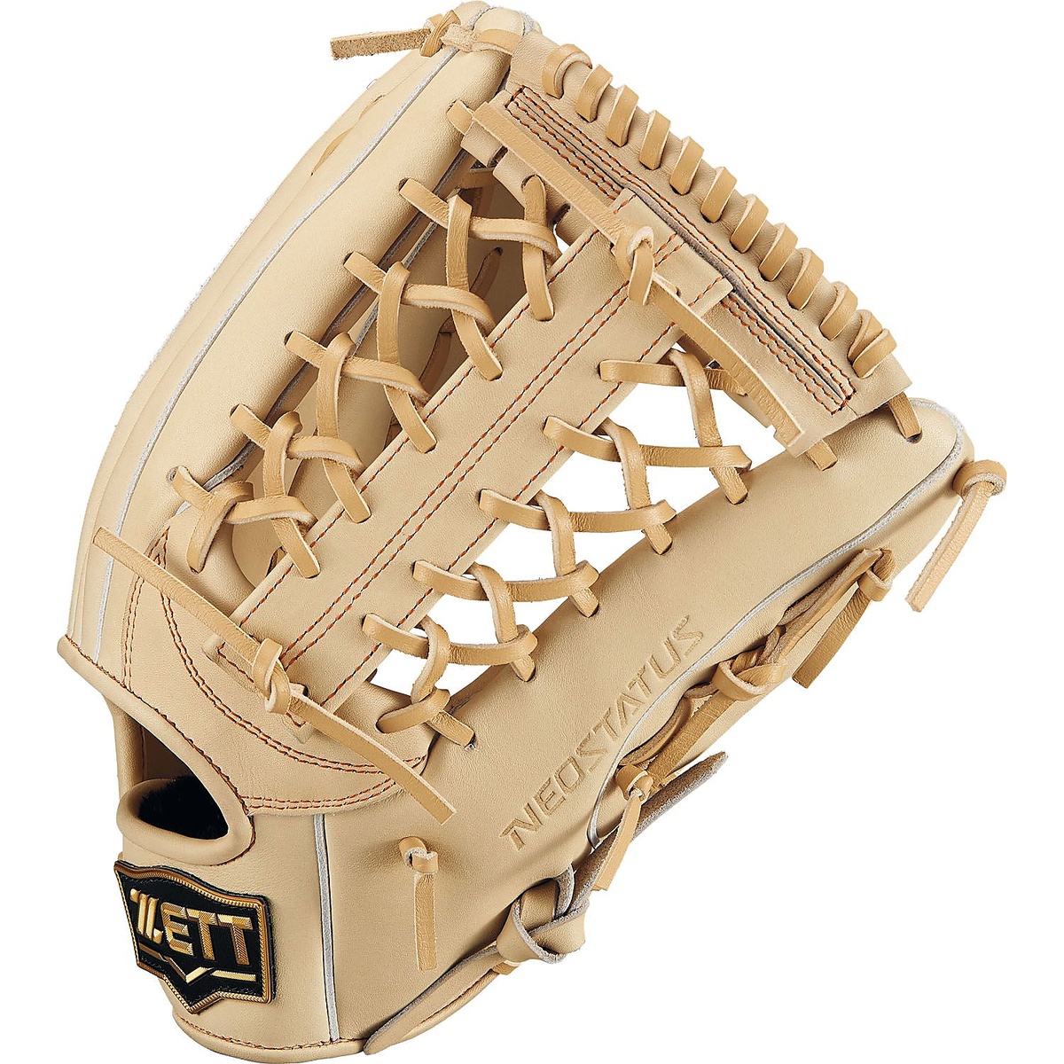 ナンシキグラブ(ネオステイタス)25