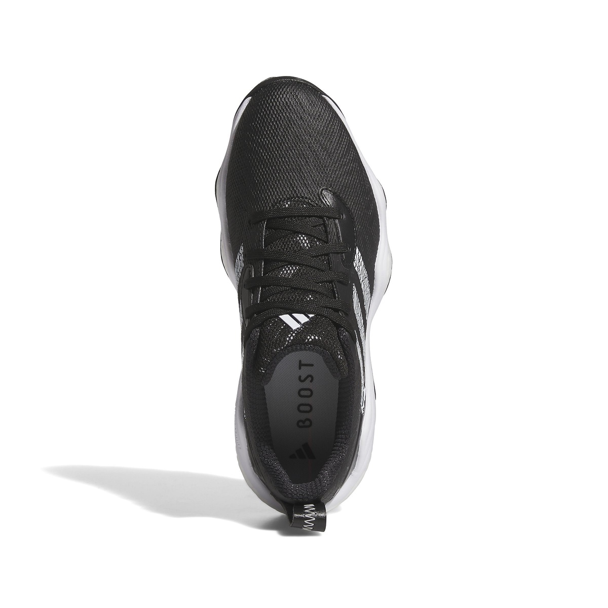 ウィメンズコードカオス25