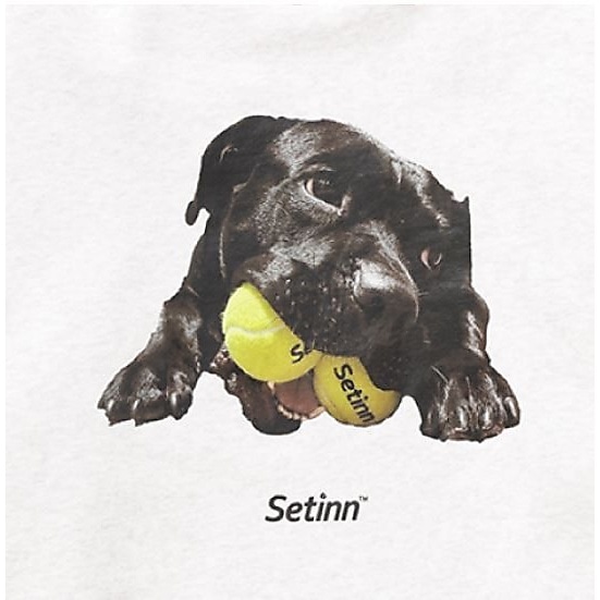Balldog Crew Sweat