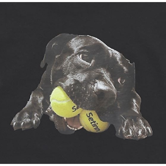 Balldog TEE