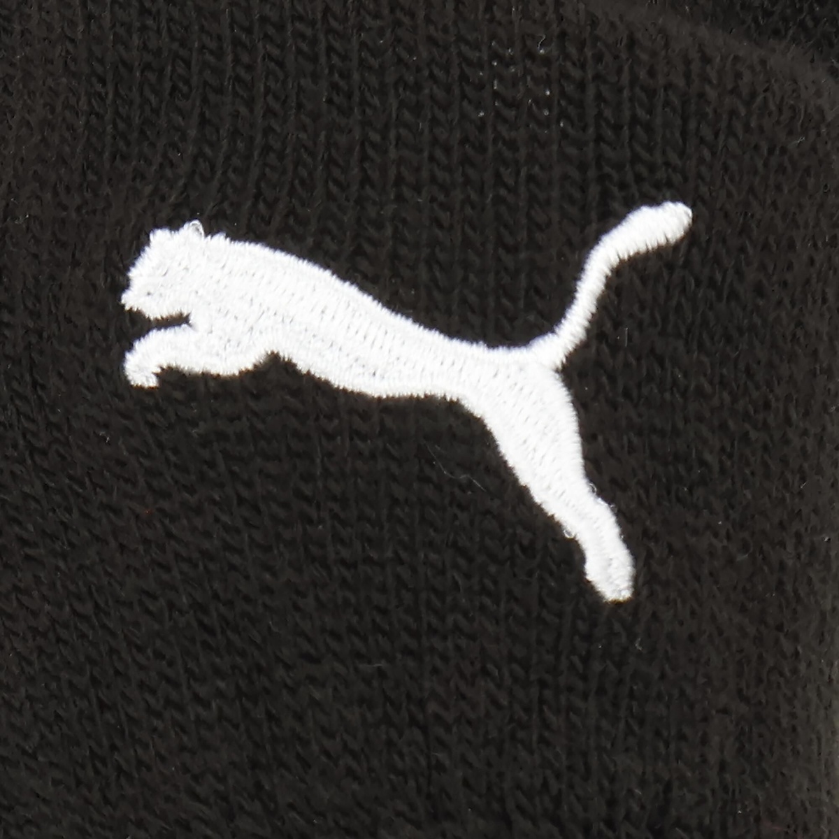 PUMA スポーツ グローブ