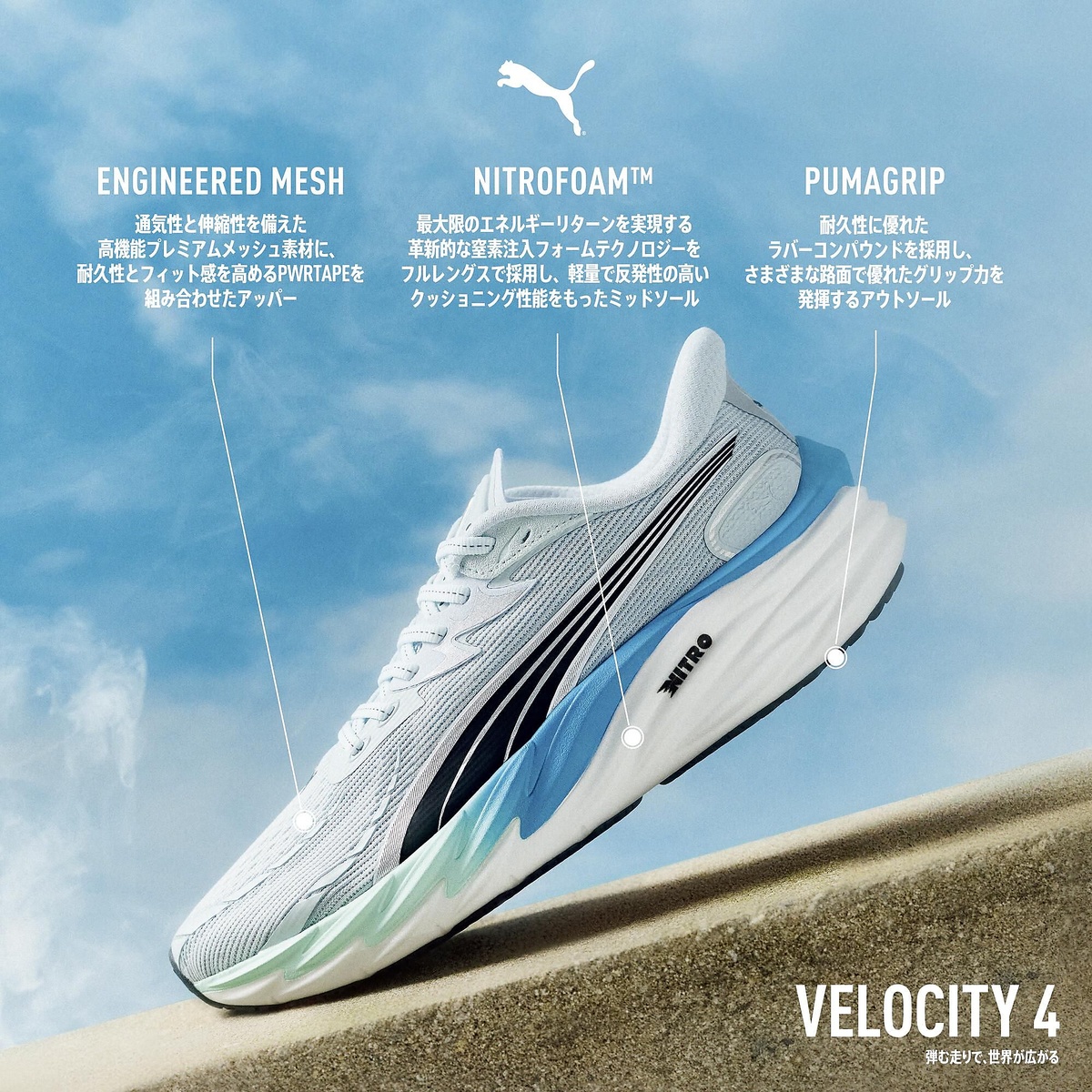 ヴェロシティ ニトロ 4 DT ウィメンズ