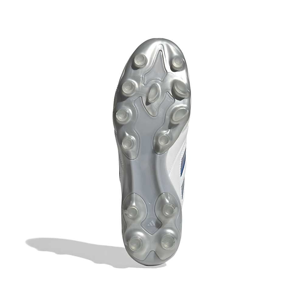 COPAICONIIPROHG/AGJAPAN