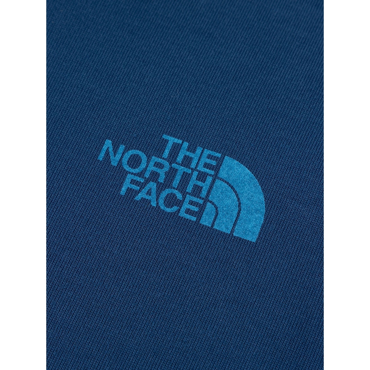 T S/S TNF Bug Free Graphic Tee (トドラーショートスリーブTNFバグフリーグラフィックティー)