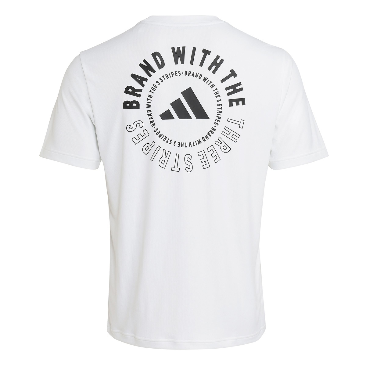 MCOOLBACKPTシャツ