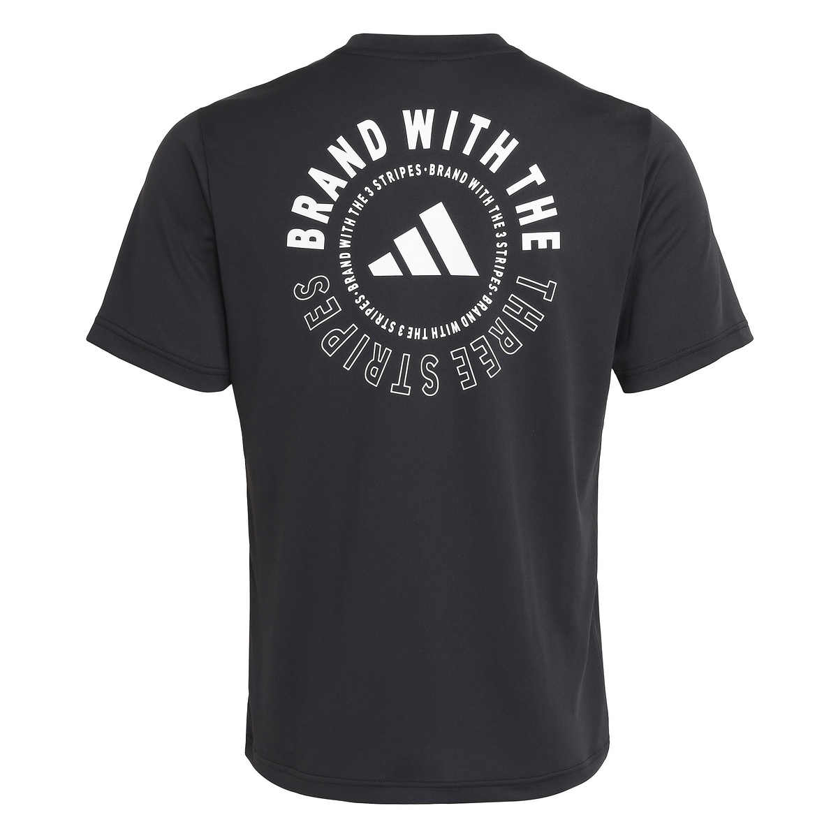 MCOOLBACKPTシャツ