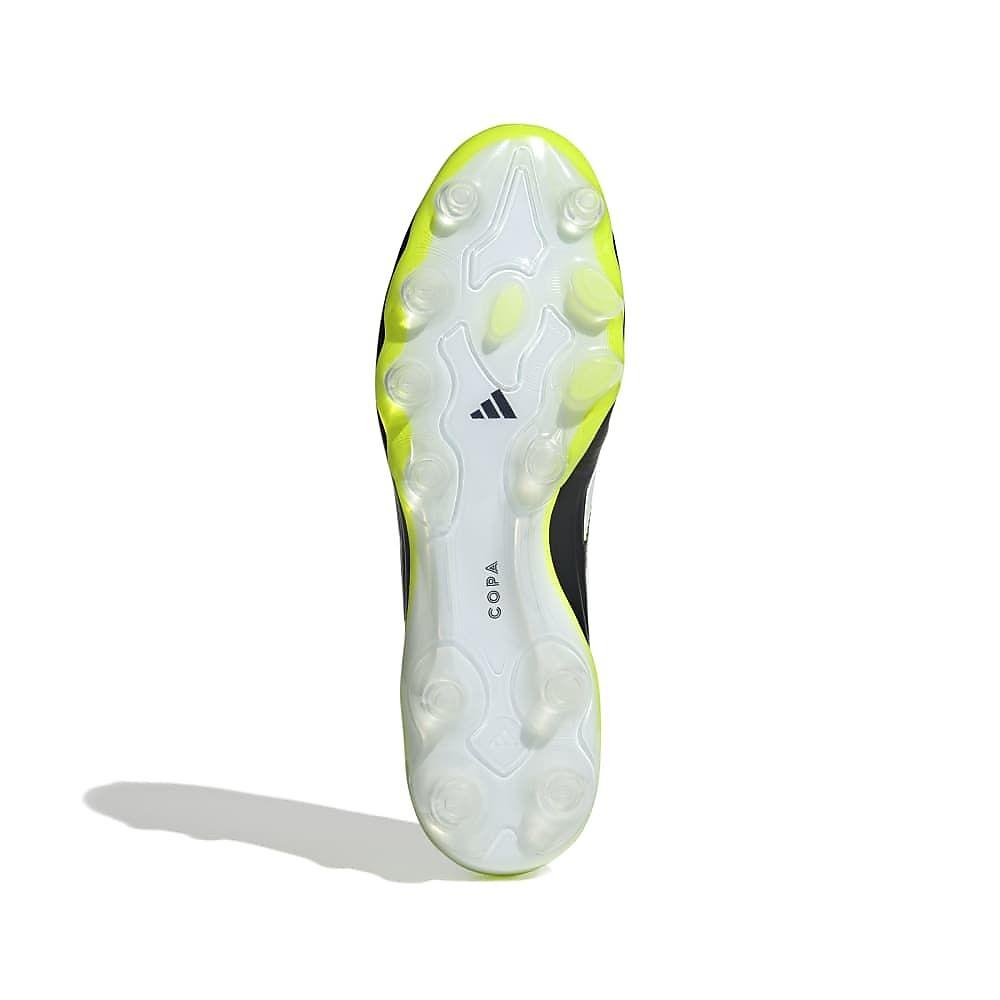 COPAPUREIIIELITEHG/AGJAPAN