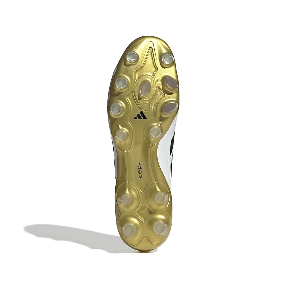 COPAPUREIIIELITEHG/AGJAPAN