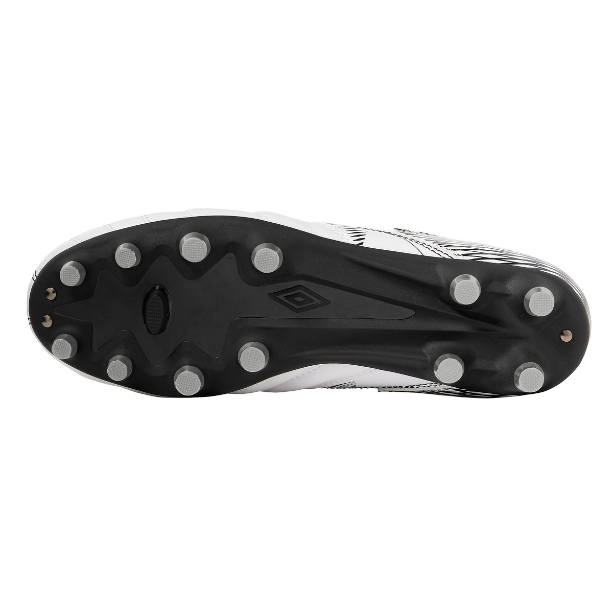 アクセレーター +GAINA HG