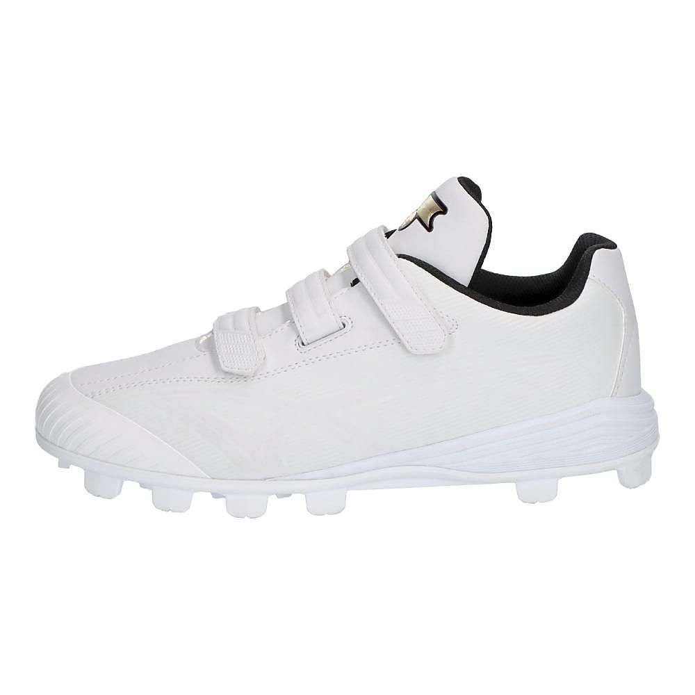 グローロードMC2