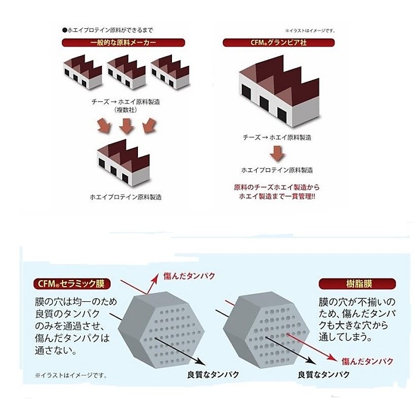 CFMホエイプロテイン+ホエイペプチド&ビタミンB ミックスベリー風味 900g