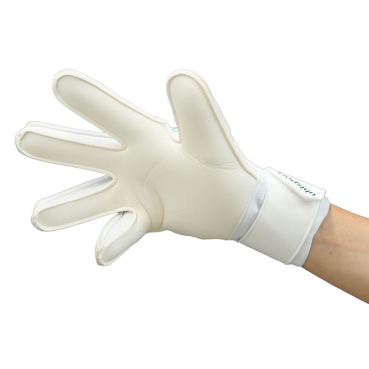 サイバーテック ソフト プロ 6