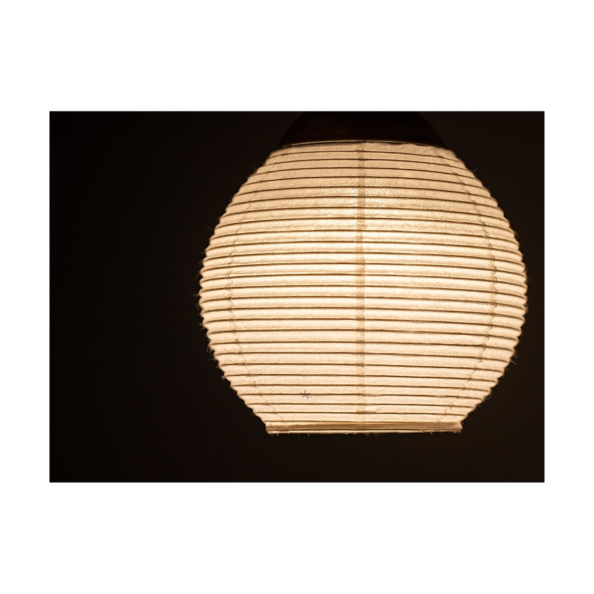 たねほおずき提灯シェード 蕾