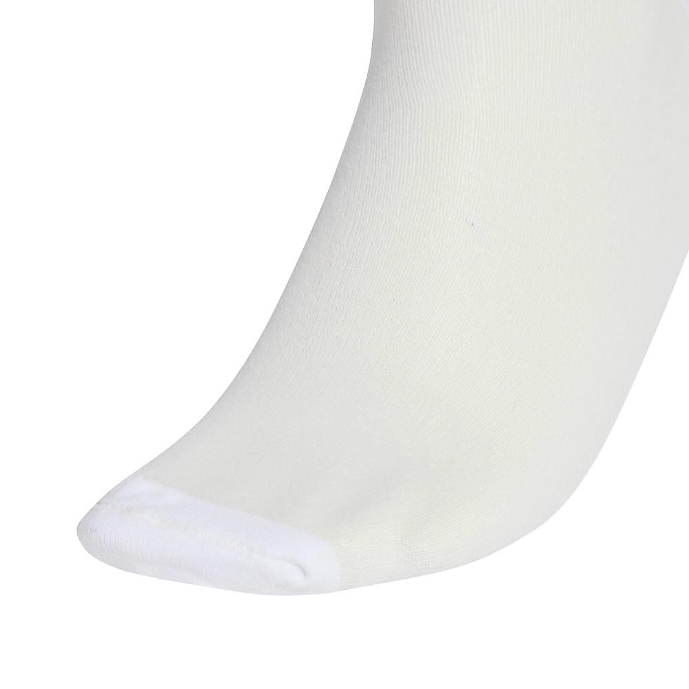 SHEER HIGH CREW SOCKS 2 PAIRS