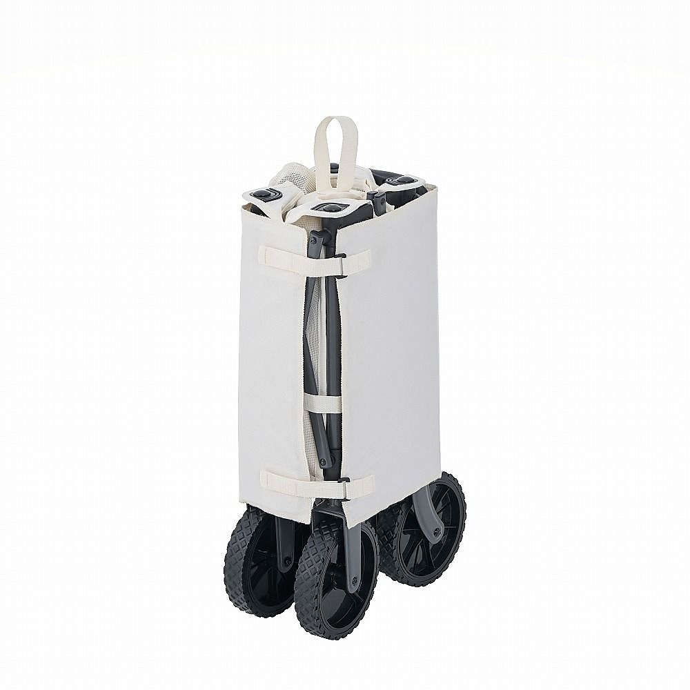 スマートテスリンキャリーカート
