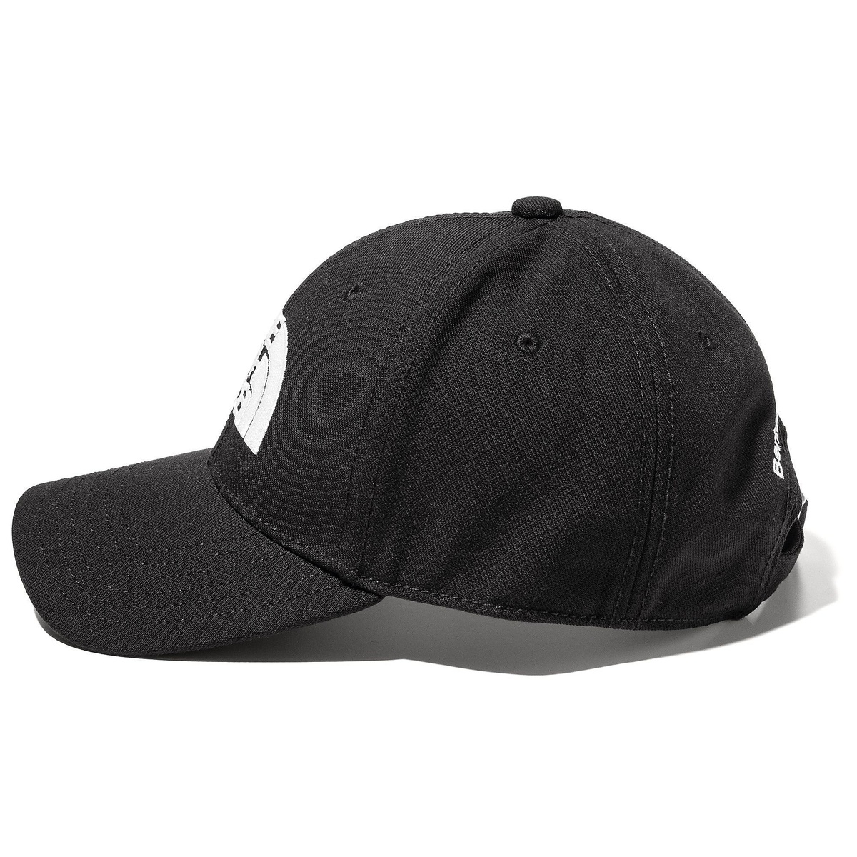 TNF Logo Cap (TNFロゴキャップ)