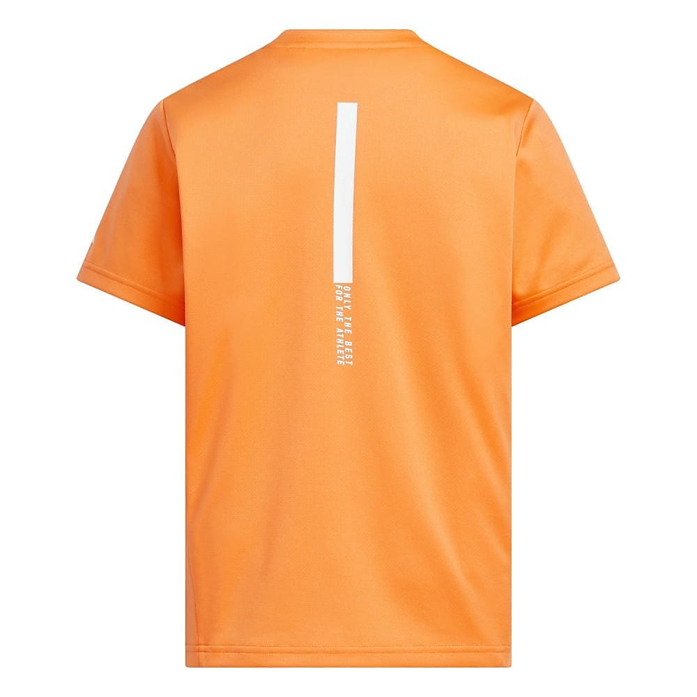K ADT BSC S/S Tシャツ