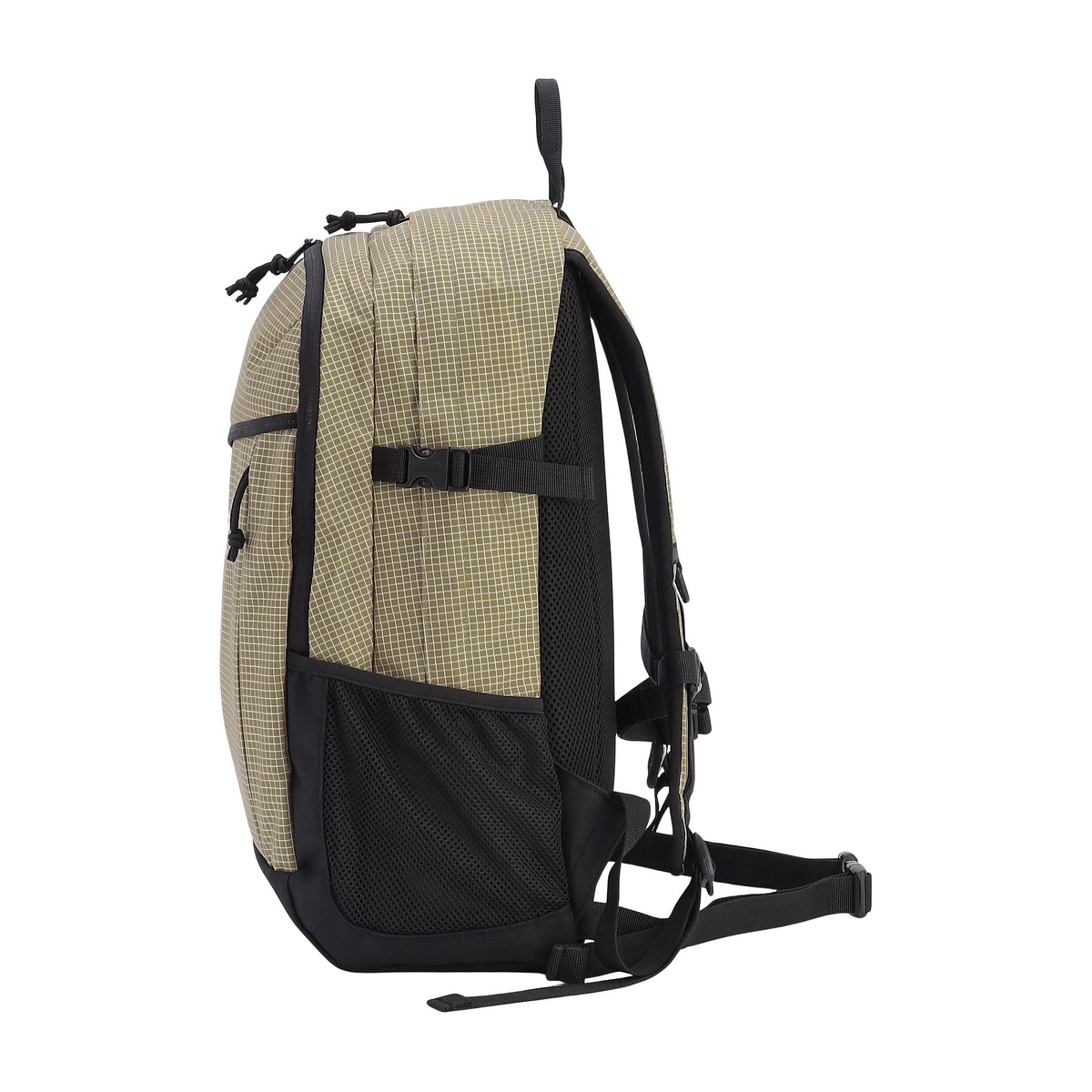 ウォーカー25(コヨーテリップ)