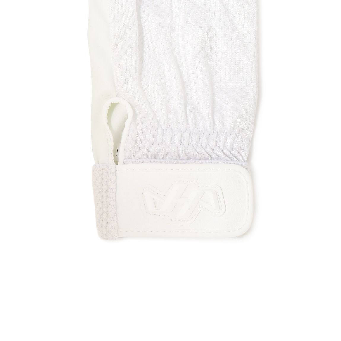 ホシュヨウ　テブクロ