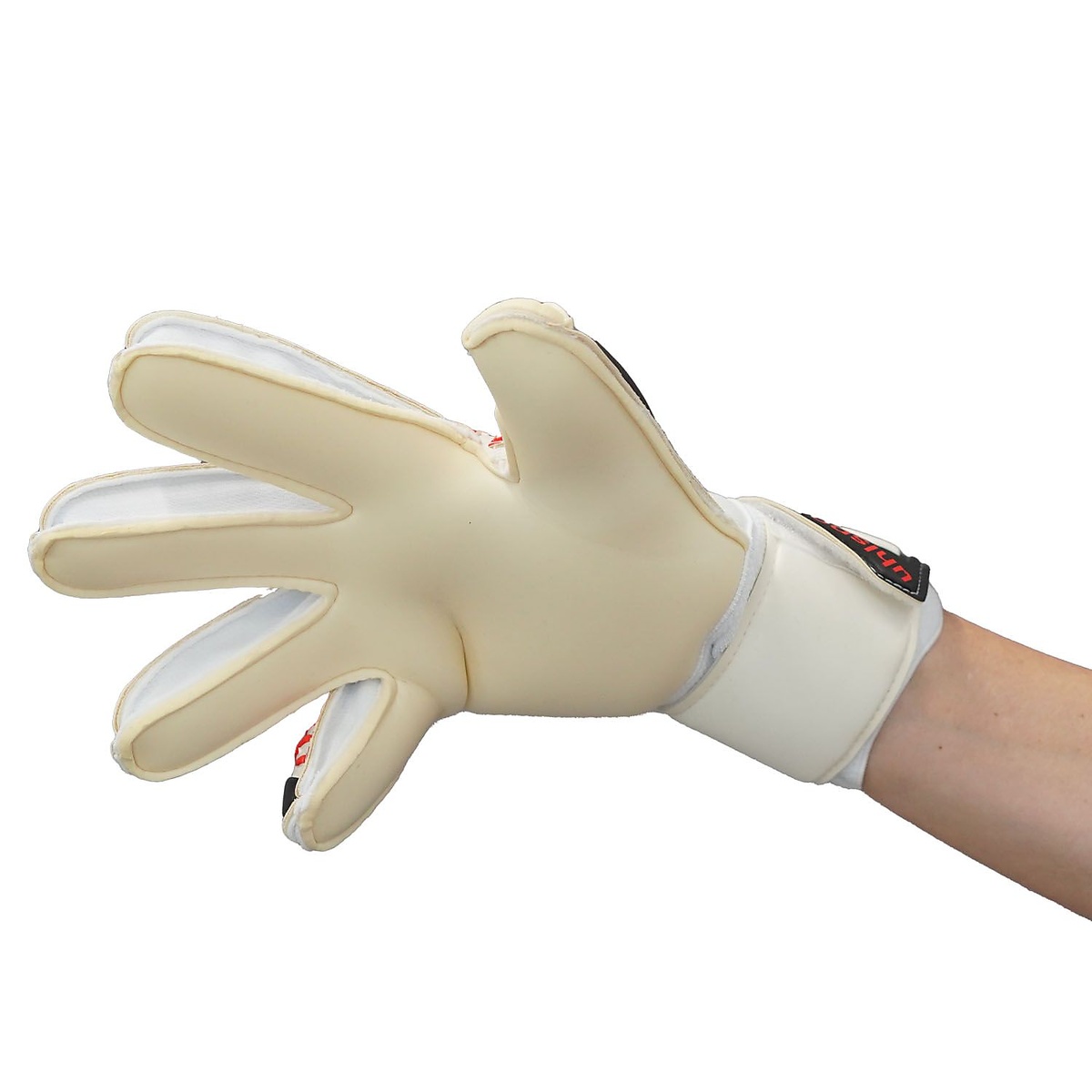 ファングマシーネ アブソルートグリップ