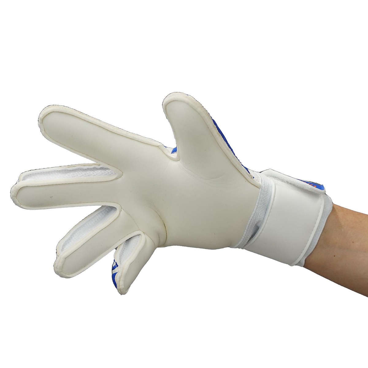 ファングマシーネ ソフト アドバンスド