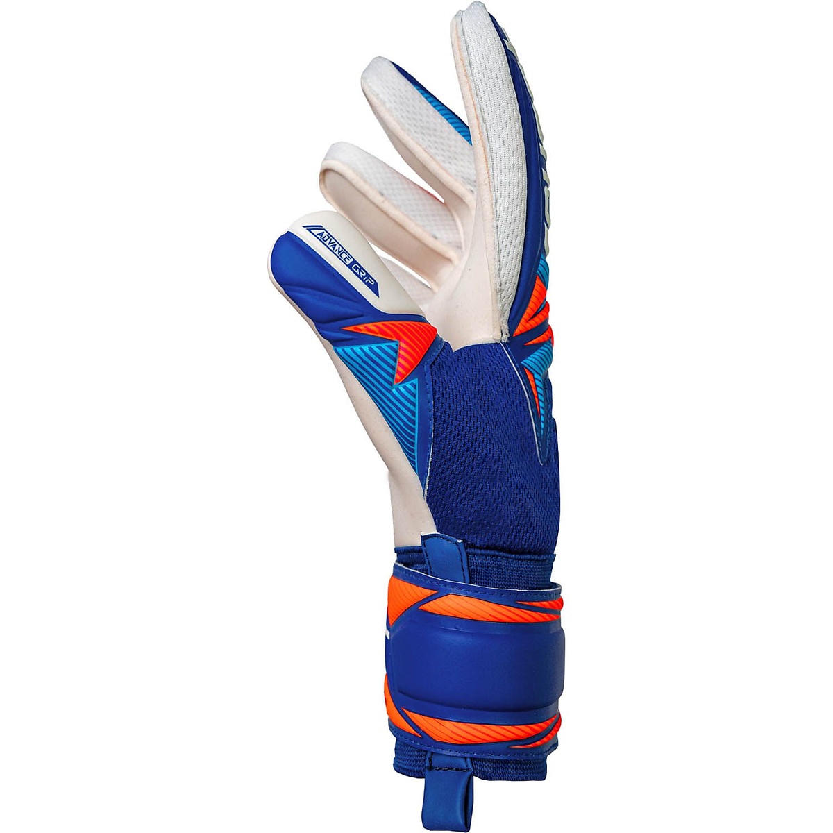 アトラクト　アドバンス