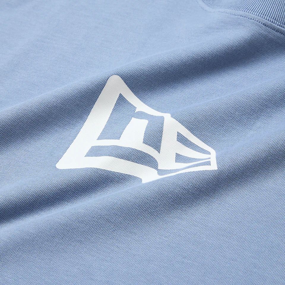 SS CT T FLAG LG MID