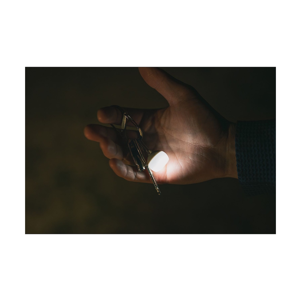 つぶほおずき ひぐれ