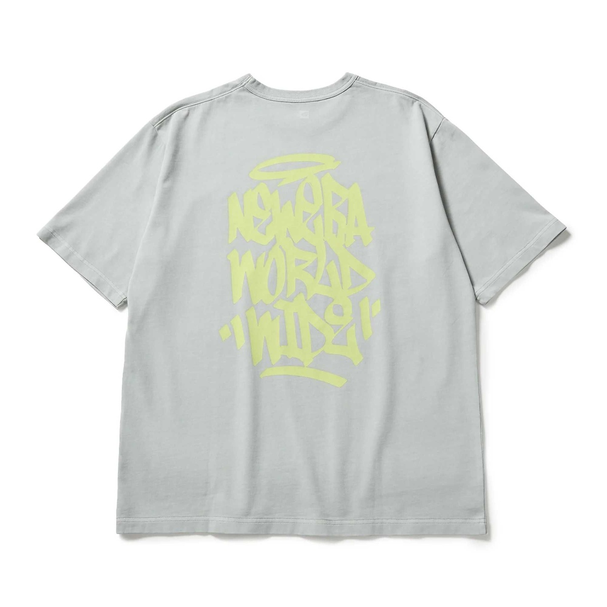 SS GARMENT DYE CT T
