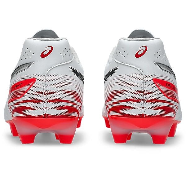 DS LIGHT PRO