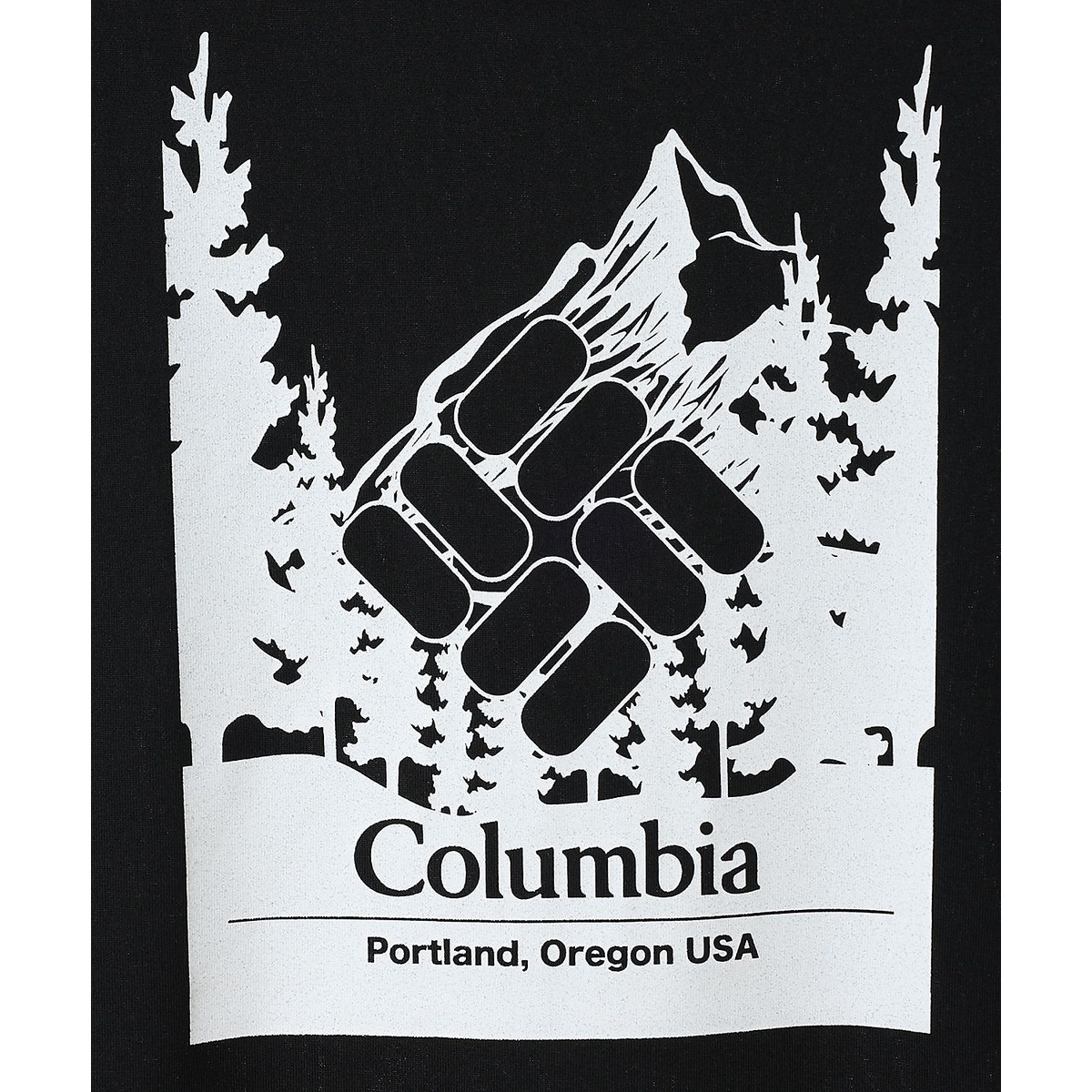 アーバンハイクグラフィックショートスリーブTシャツ