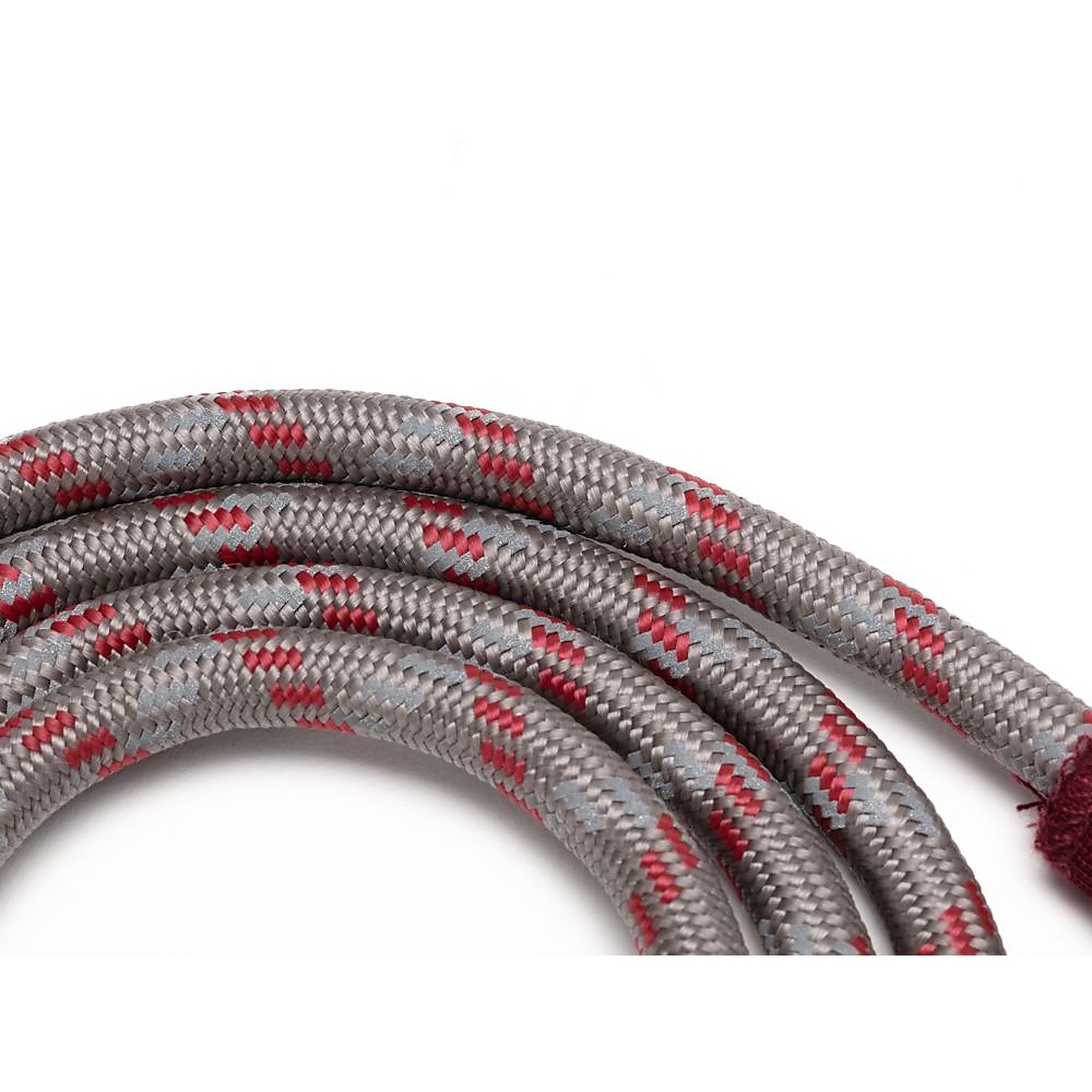 SPドッグリードS