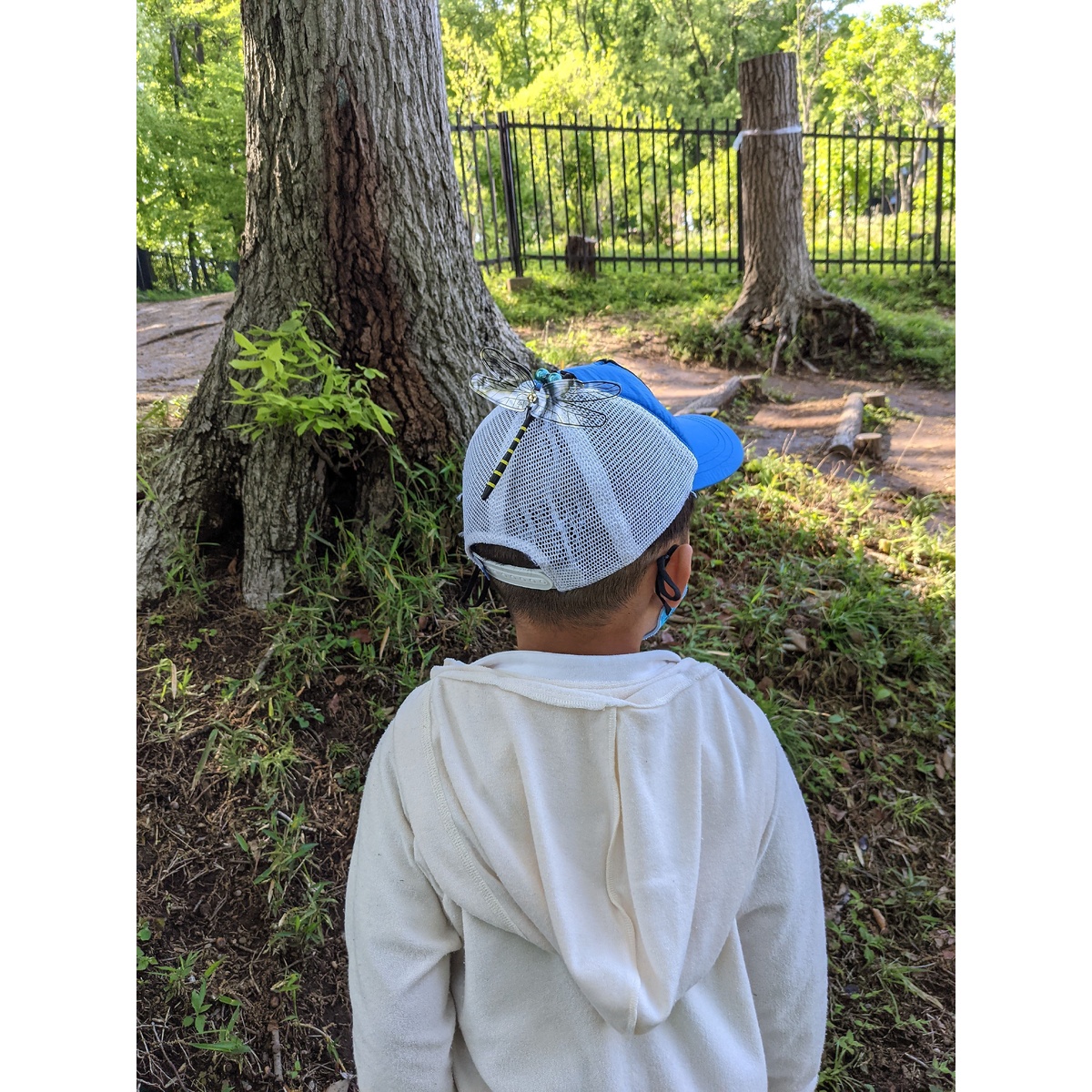 【おにやんま君】